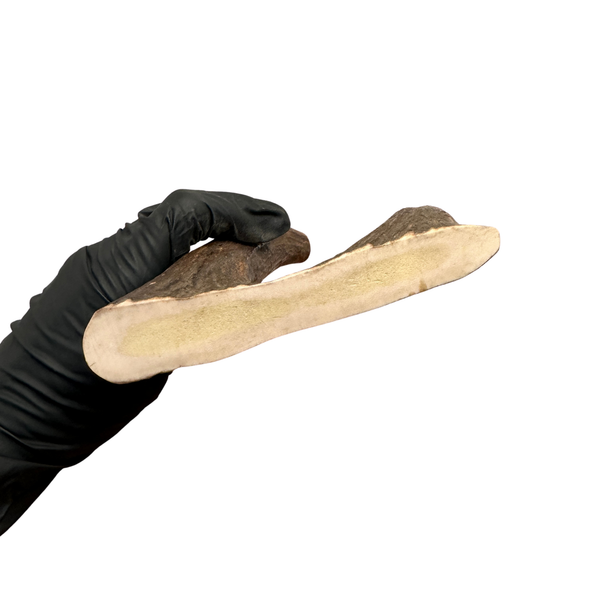 Moose Tines (Strong Chewers)