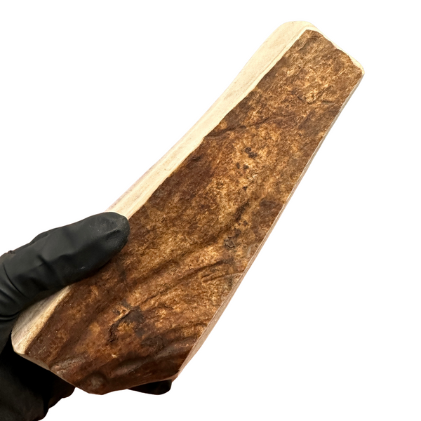Thick Moose Paddle (Medium-high density)