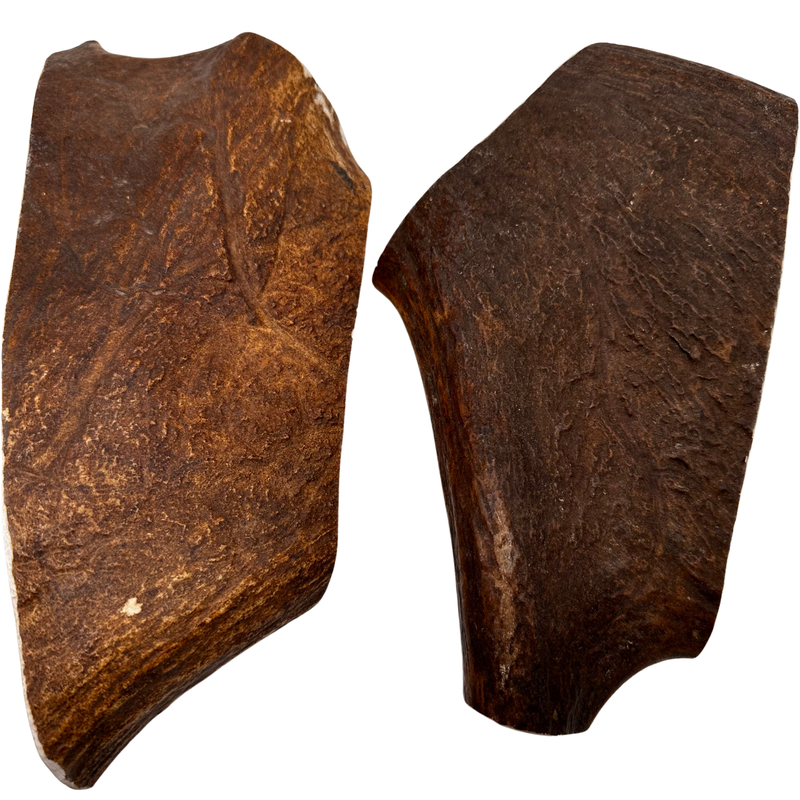 10" XL Moose Paddles (Medium-high Density/2 Pack)