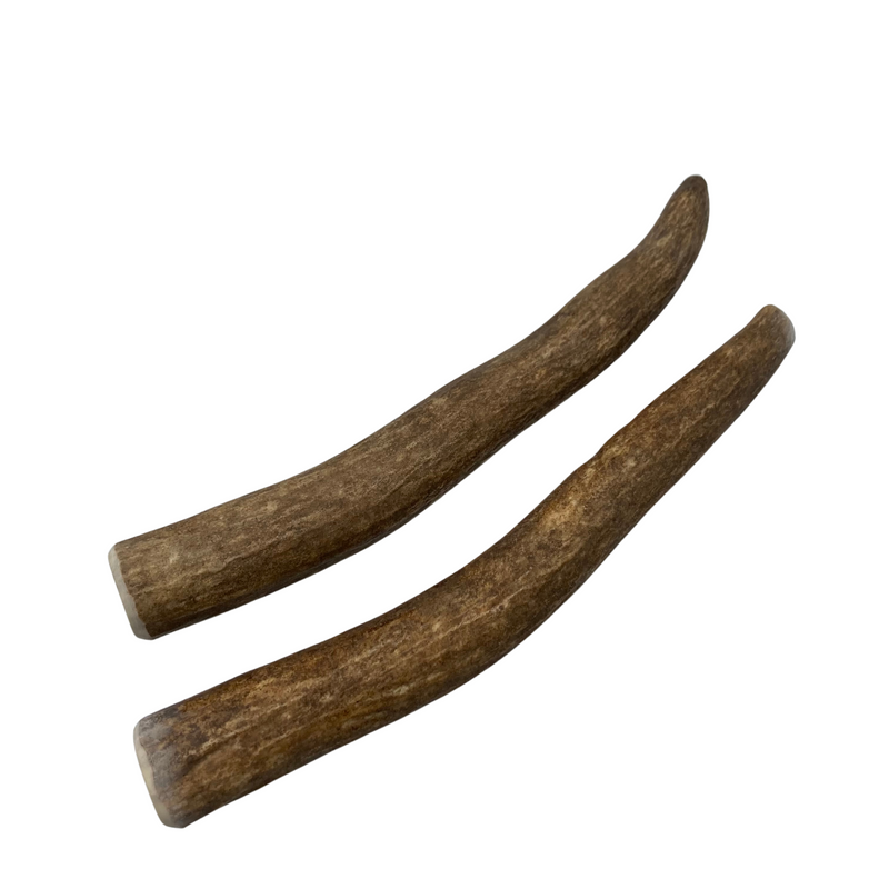 Moose Tines (Strong Chewers/2 Pack)