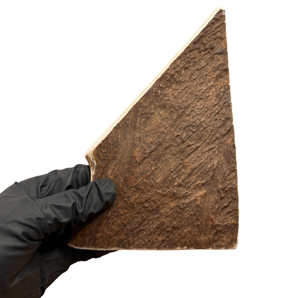 Moose Paddle (Medium Density)