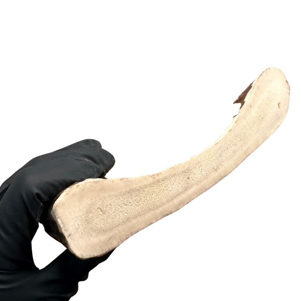 Large Thick Moose Chunk (Powerchewers)
