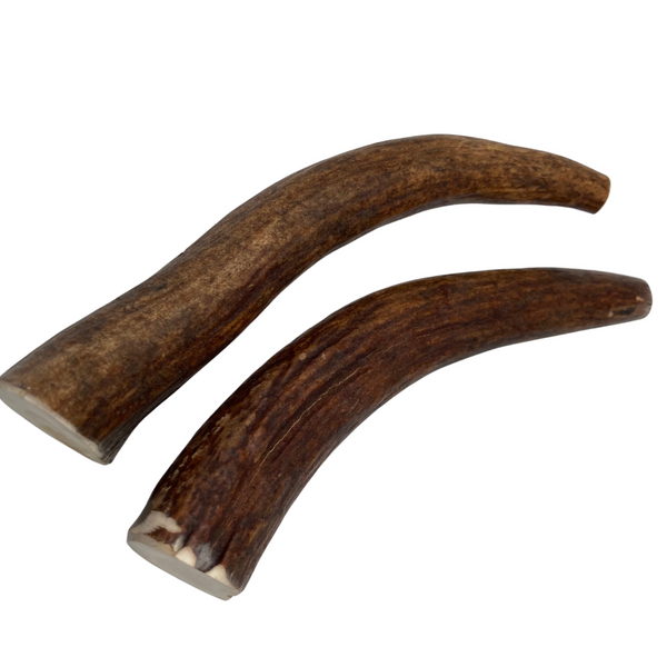 Moose Tines (Strong Chewers/2 Pack)