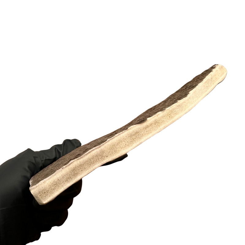 Moose Paddle (Medium Density)