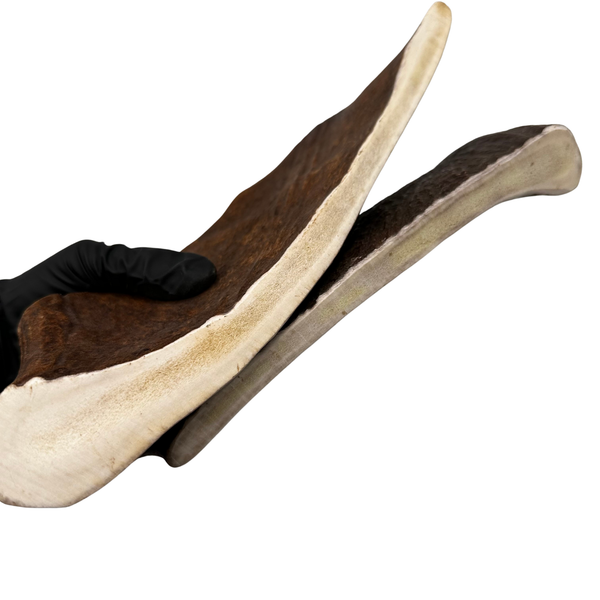 10" XL Moose Paddles (Medium-high Density/2 Pack)