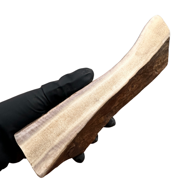 Thick Moose Paddle (Medium-high density)
