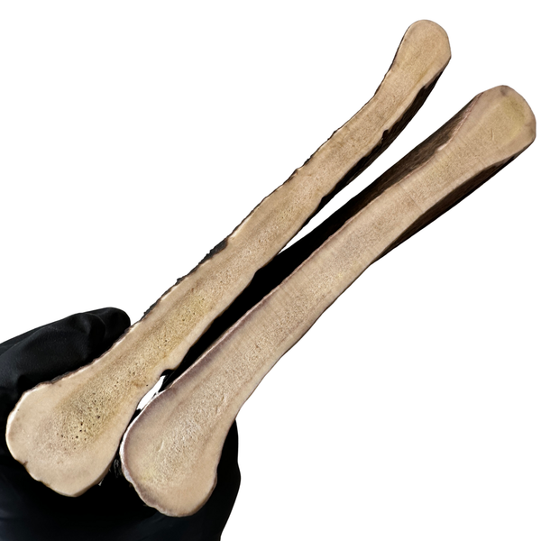 XL Moose Chunks (Medium-high Density/2 Pack)