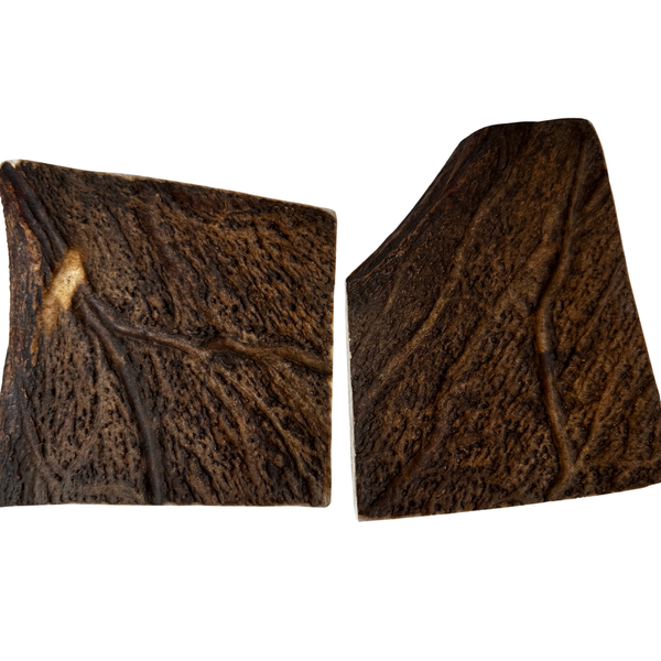 Moose Paddles (Medium-high Density/2 Pack)