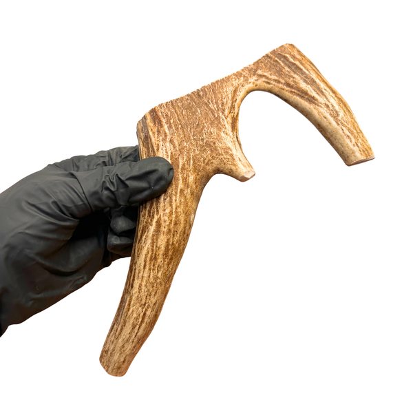 Moose Claw (Strong Chewers)