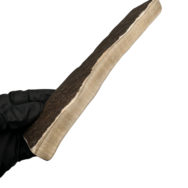 Moose Paddle (Exposed marrow 4 sides/Medium Density)