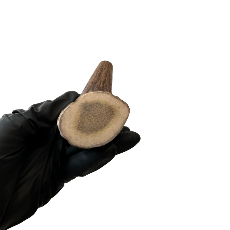 Thicker Moose Tine (Strong Chewers)