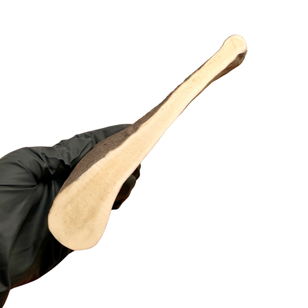 Moose Paddle (Medium-high Density)