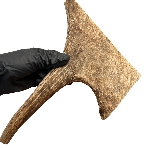 Moose Paddle + Tine (Medium-high Density)