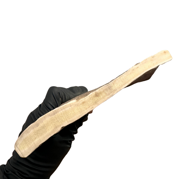 Moose Paddle + Tine (Medium-high Density)