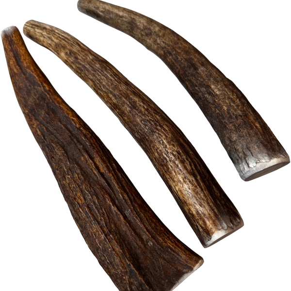 10" XL Moose Tines (Strong Chewers/3 Pack)