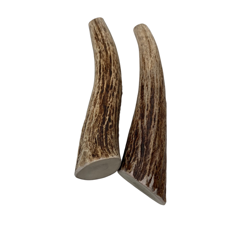 Moose Tines (Stronger Chewers/2 Pack)