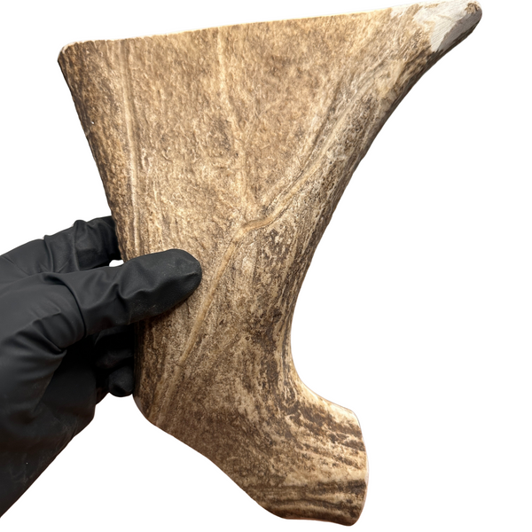 Moose Paddle (Strong Chewers)