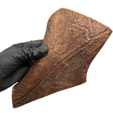 Large Thicker Moose Chunk (Strong Chewers)
