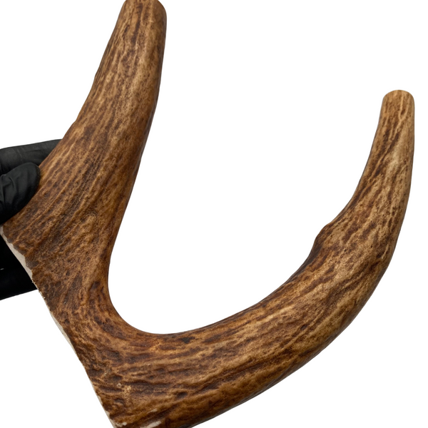 Large Moose Fork (Strong Chewers)