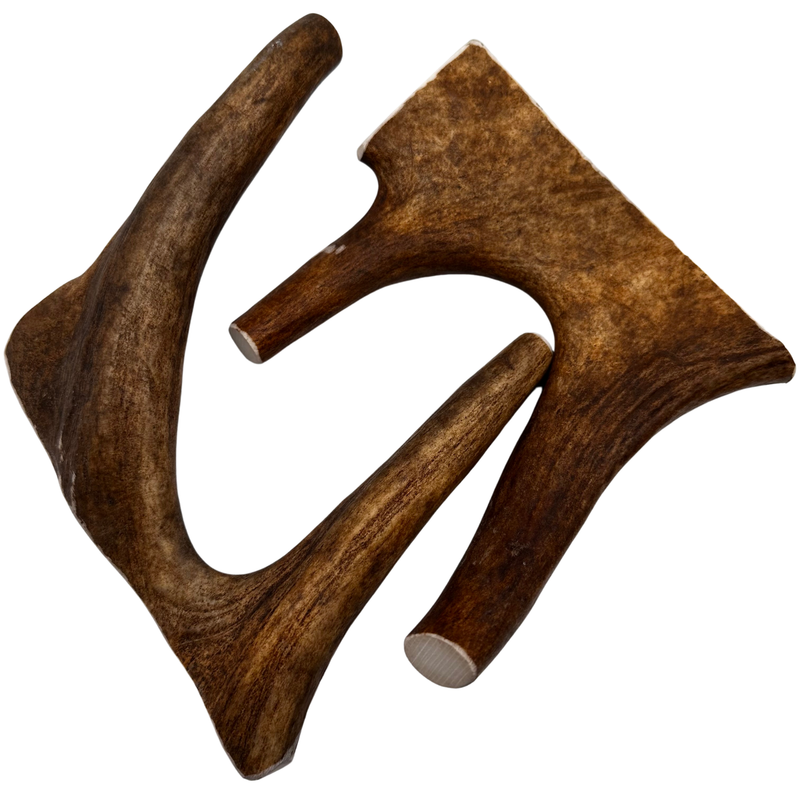 Moose Paddles (Medium-high Density/2 Pack)