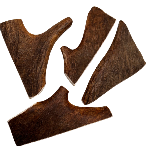 Moose Paddles (Medium Density/4 Pack)