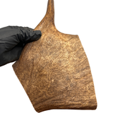 XL Moose Paddle (Medium Density)