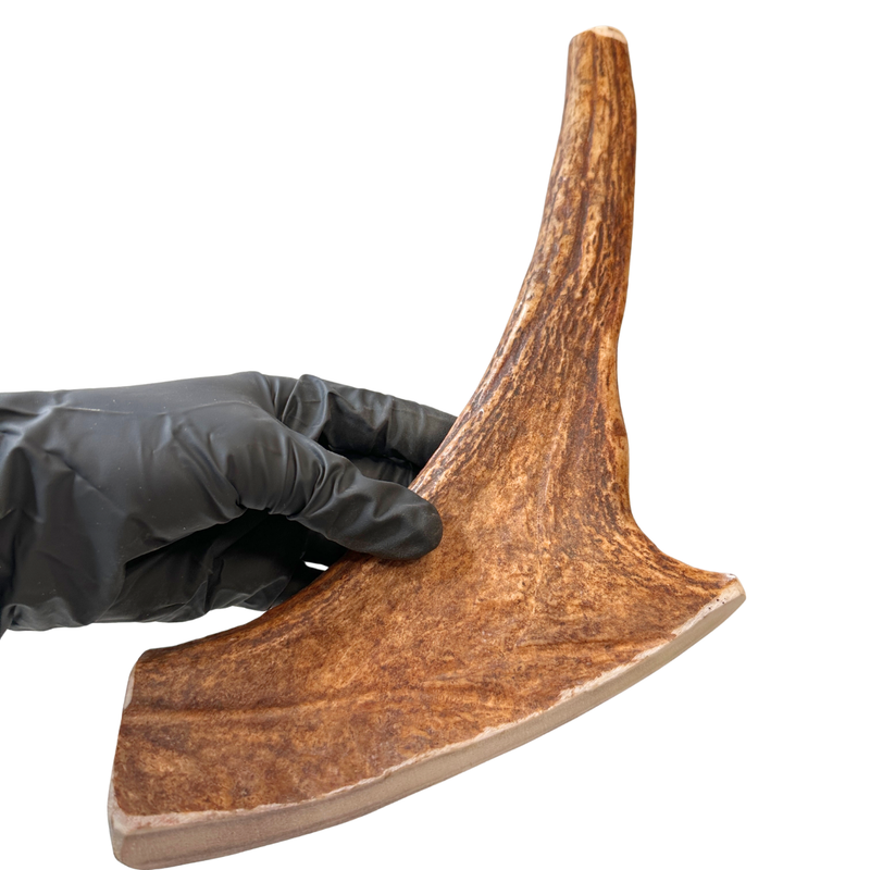 12.5" Partial Split Moose (Medium-high Density)