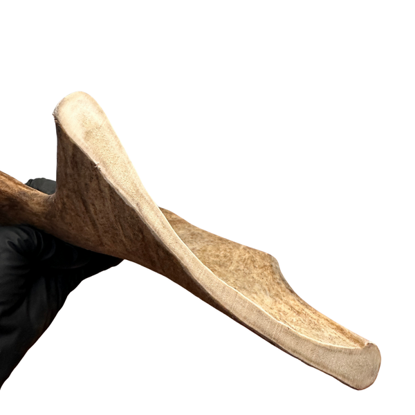 XL Moose Paddle (Medium Density)