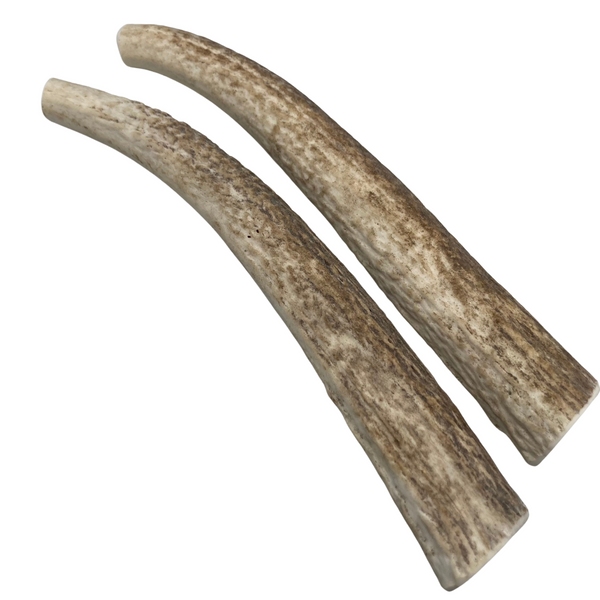 Large Elk Tine Bundle (2 pack/Strong Chewers)