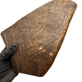 XL Moose Paddle (Medium-high density)