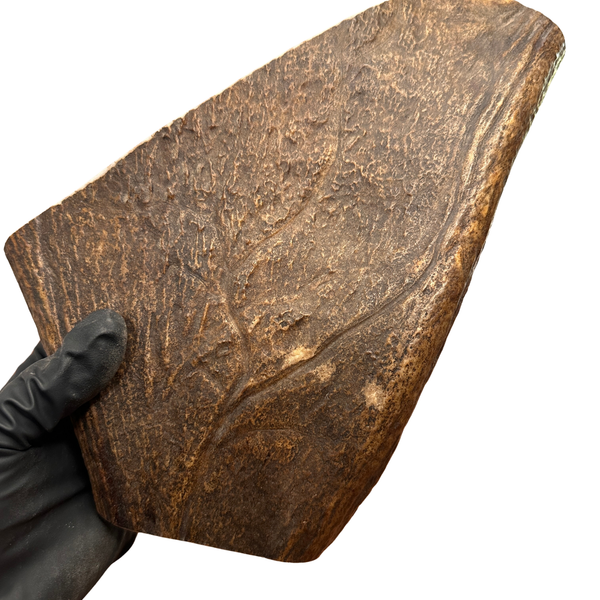 XL Moose Paddle (Medium-high density)