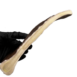 Moose Paddle (Medium-low Density)