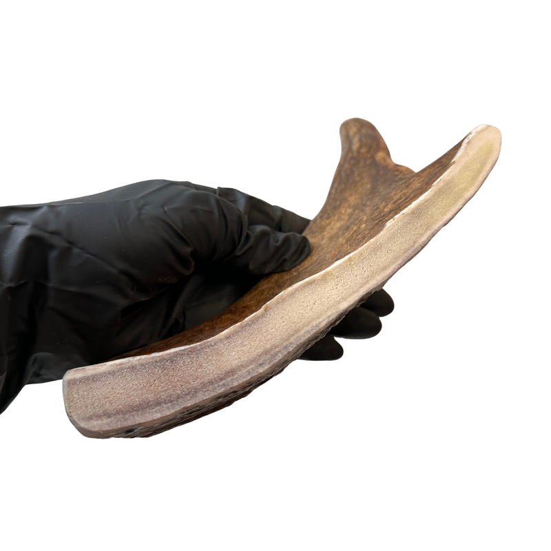 12.5" Partial Split Moose (Medium-high Density)