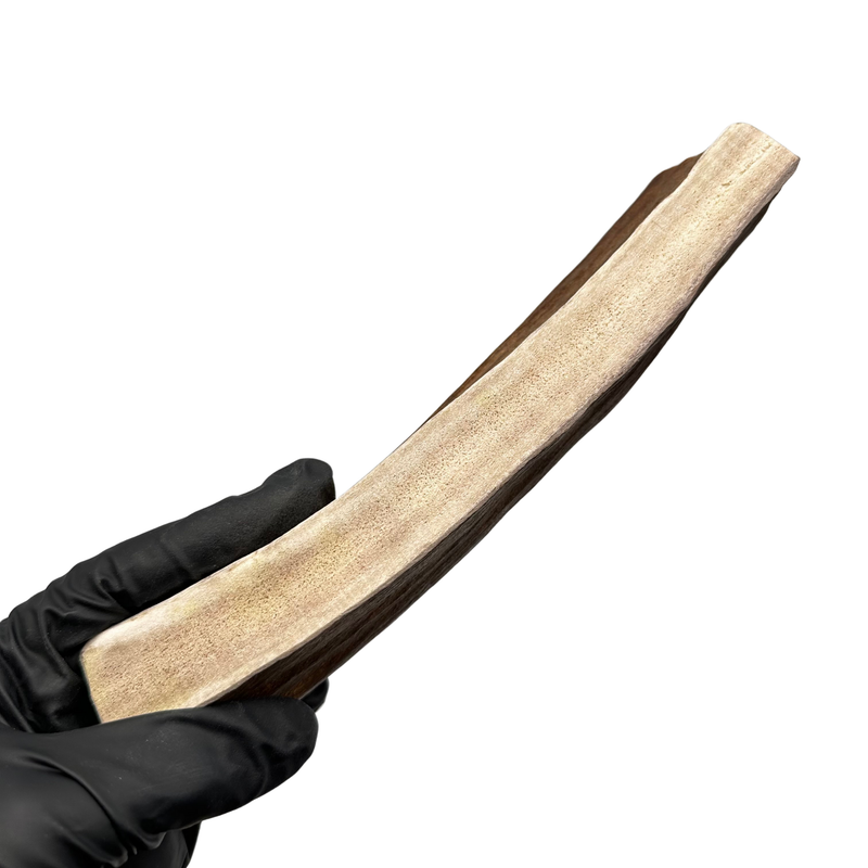 Thick Moose Paddle (Medium Density)