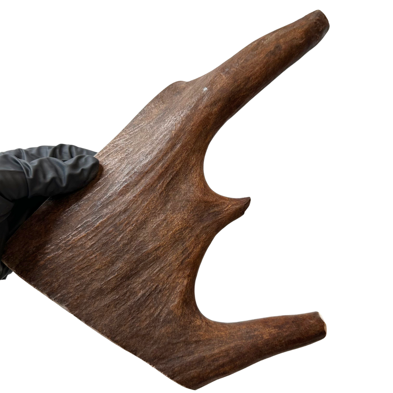 10" Large Moose Paddle (Medium Density)