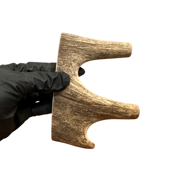 Small Moose End (Medium Density)