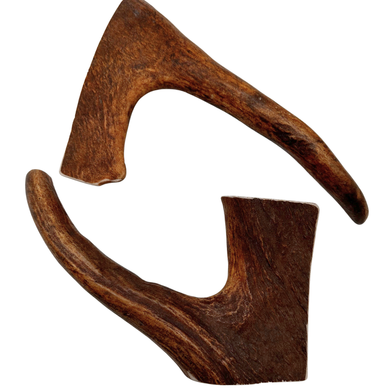 Moose Paddles (Medium-high Density/2 Pack)