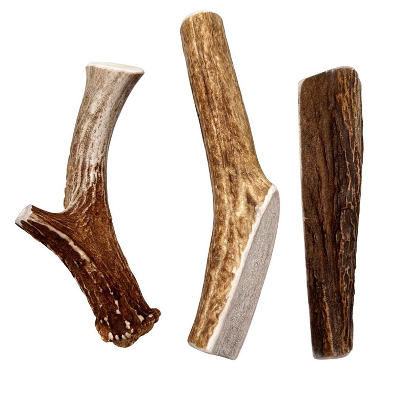 1lb Mystery Pack Antler Dog Chews