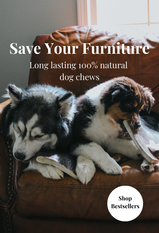 Top chews best sale website