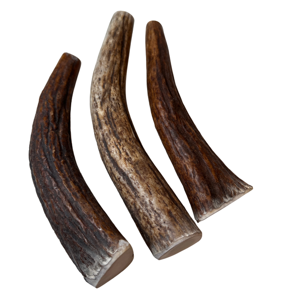Moose Tines (Strong Chewers/3 Pack)