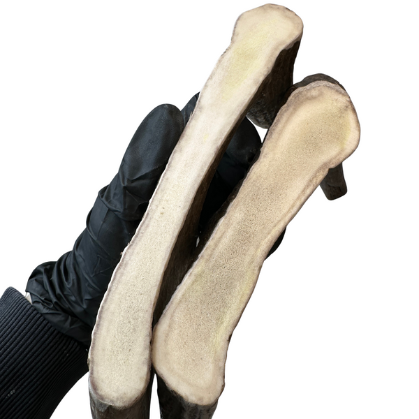 Large Moose Claws (Strong Chewers/2 Pack)