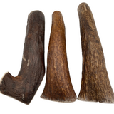 Thick Moose Tines (Stronger Chewers/3 Pack)