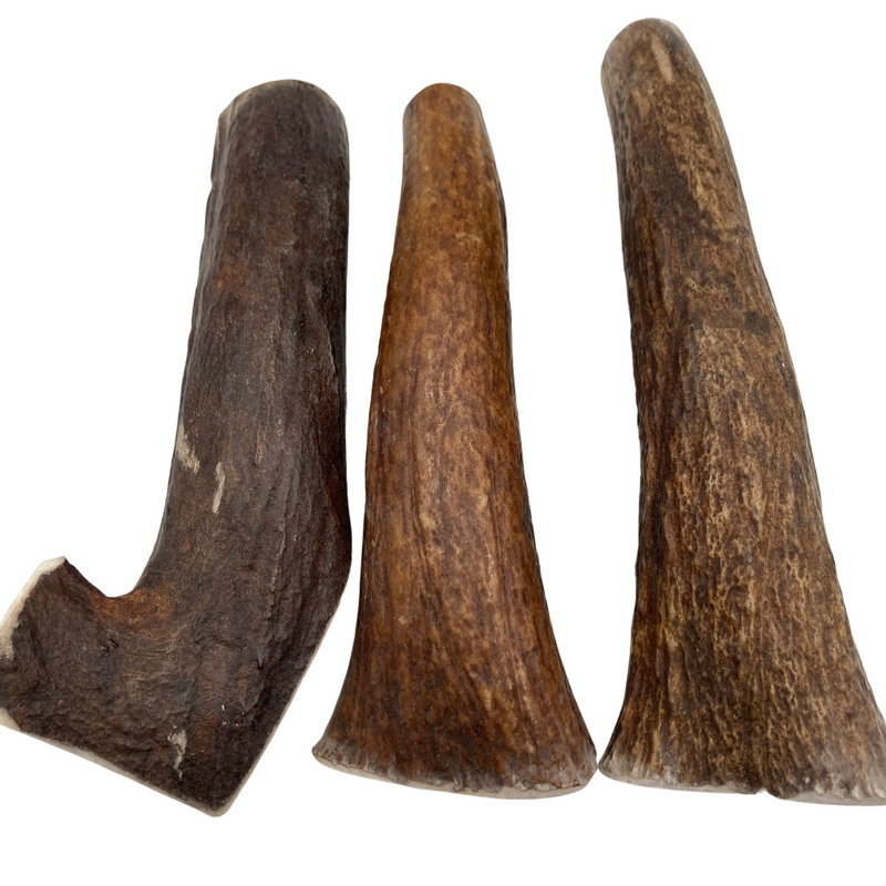 Thick Moose Tines (Stronger Chewers/3 Pack)