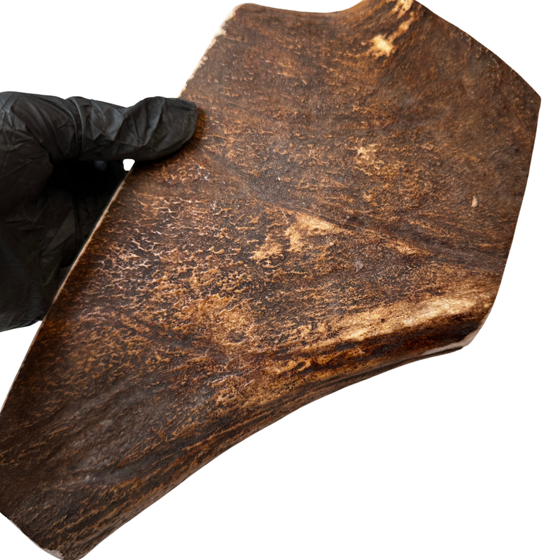 10.5" Monster Thick Moose Paddle (Strong Chewers)