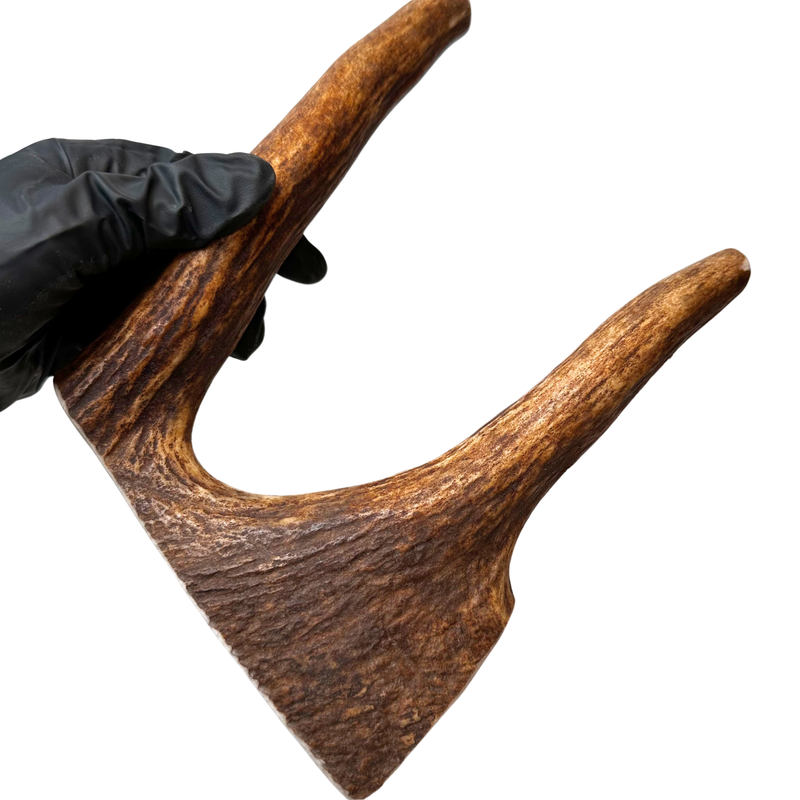 Moose Paddle (Medium-high Density)