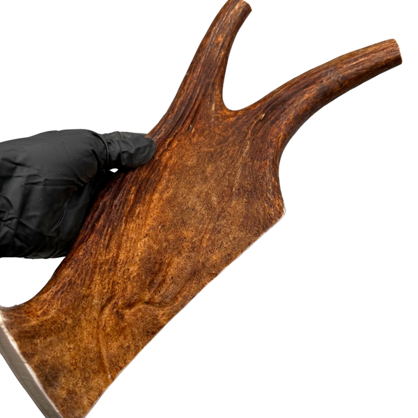 14.75" XL Moose Claw (Medium-high density)