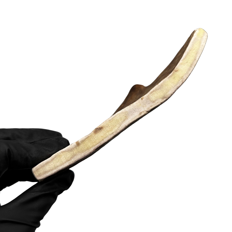 Moose Paddle (Medium Density)