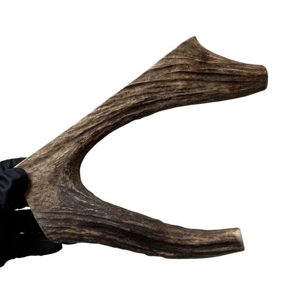 Moose Paddle + Tine (Medium Density)