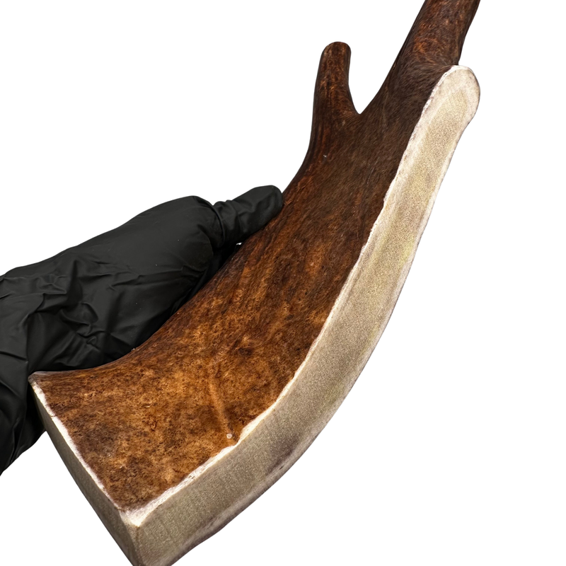 14.75" XL Moose Claw (Medium-high density)