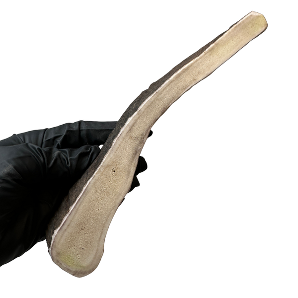 Moose Paddle (Medium Density)